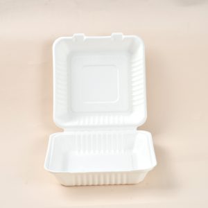 9'' bagasse food box with 3 compartment