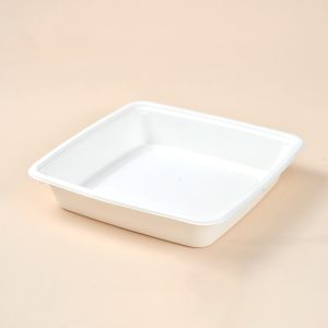 9'' BAGASSE TRAY