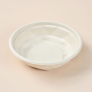 bagasse takeaway food bowl