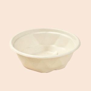 600ml bagase bowl