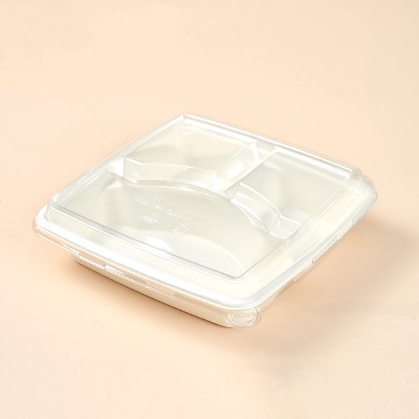 9 inch 3 compartment tray