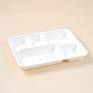 5 compartment food tray