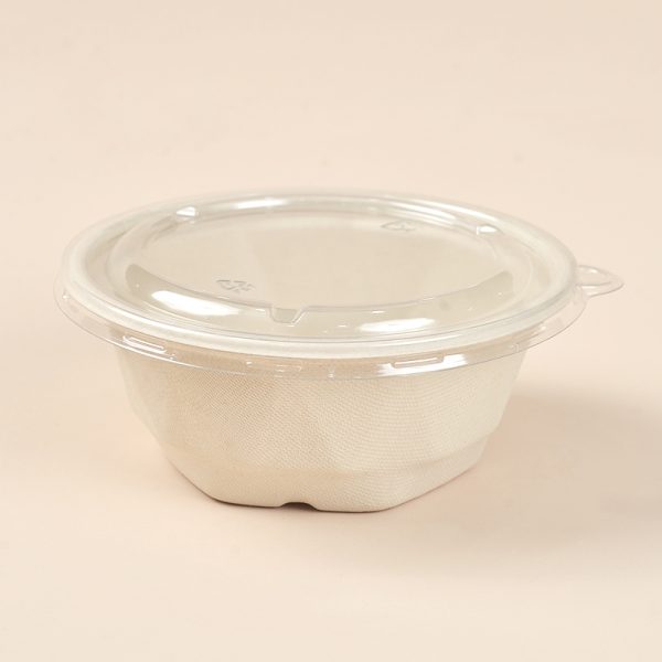 650ml sugarcane bagasse bowl