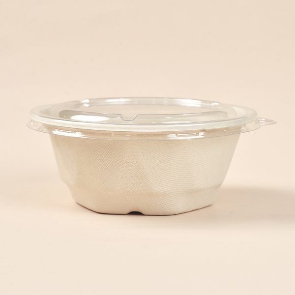 650ml dispostable bowls