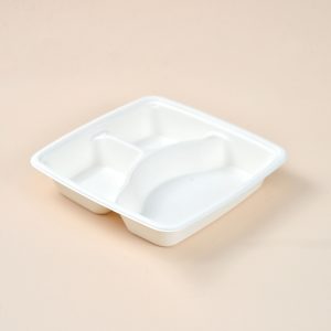 9'' bagasse lunch tray