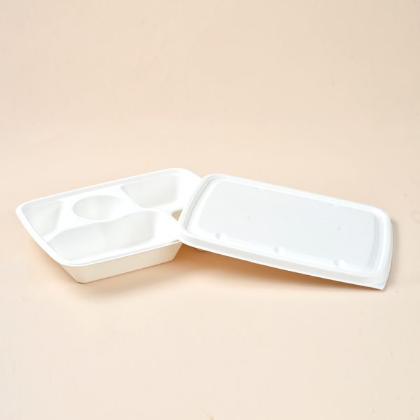 dispostable food tray with lid