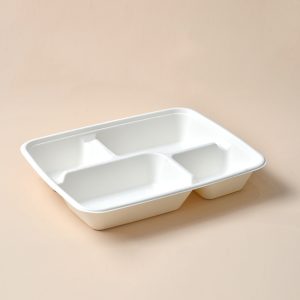 takeaway food tray