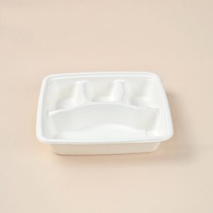 9'' 4 compartment tray