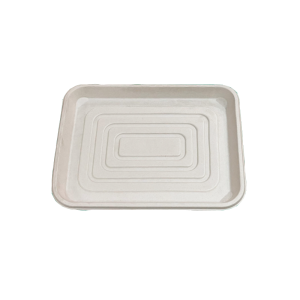 18x14'' bagasse tray