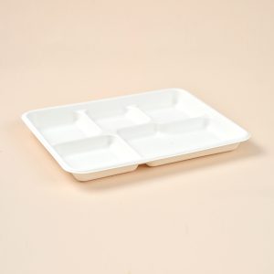 5 compart lunch tray dispostable