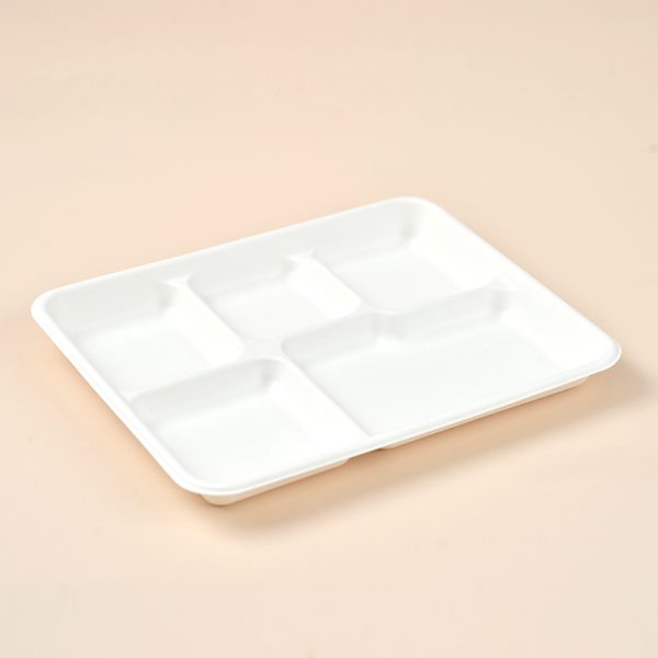 shallow food tray 5 compartment