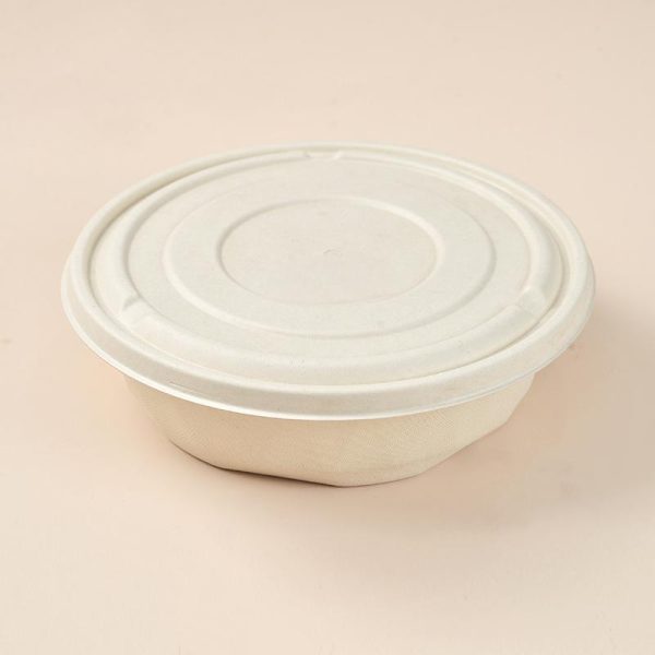 2500ml bowls with lid