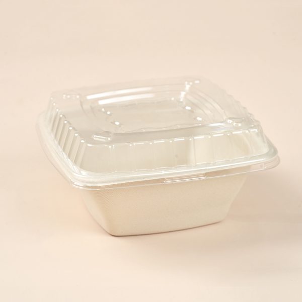 32oz dispostable square food container