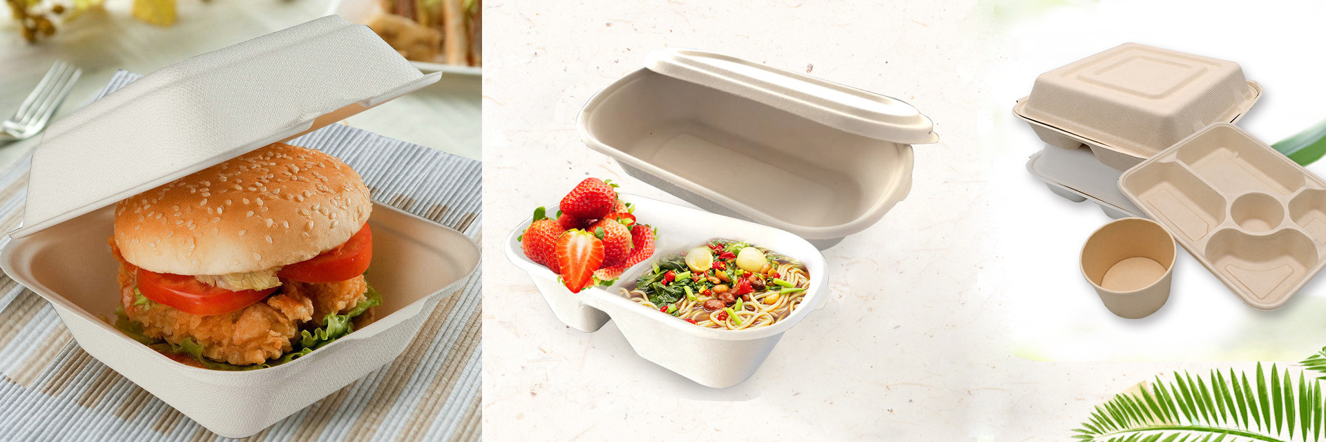 bagasse tableware