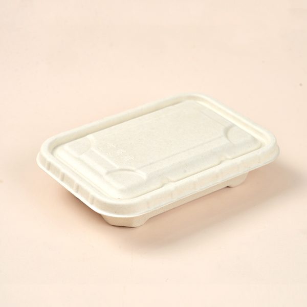 dispostable food container