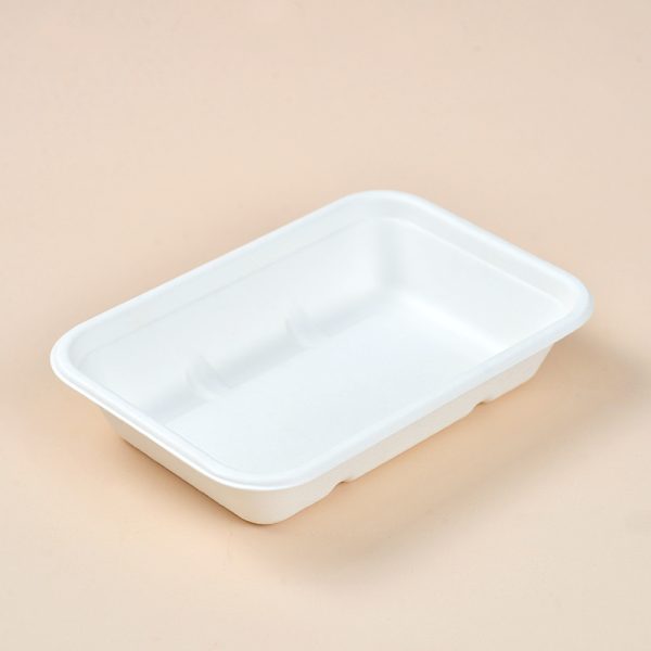 450ml bagasse food box