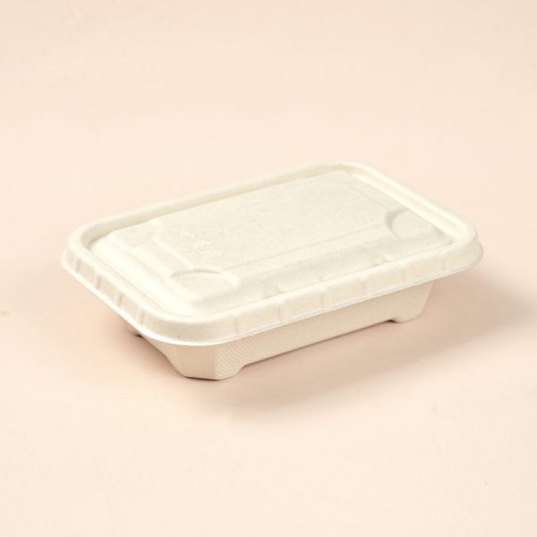 550ml takeaway food box