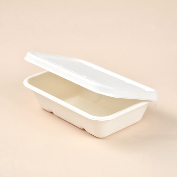 500ml food container