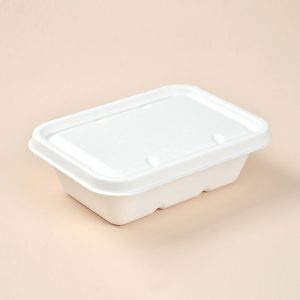 650ml take out food box