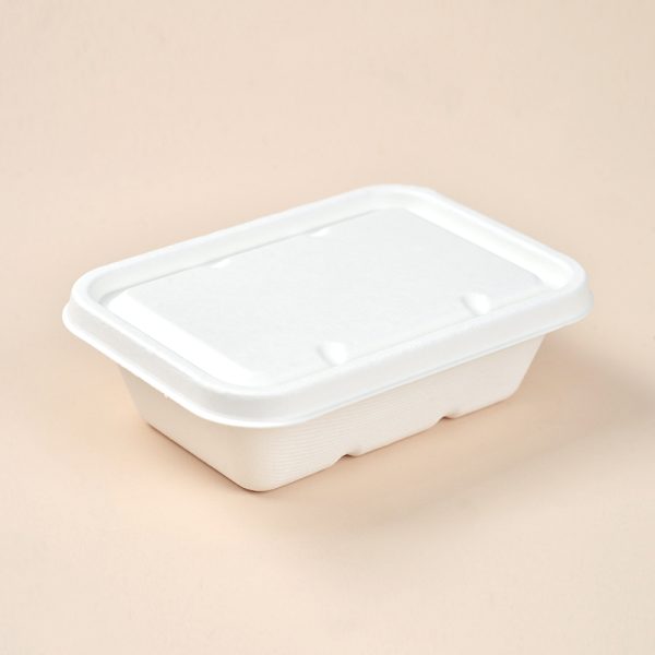 650ml take out food box