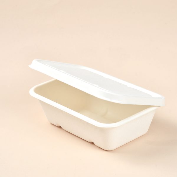 650ml sugarcane bagasse food box