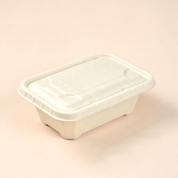 750ml sugarcane bagasse food box with lid