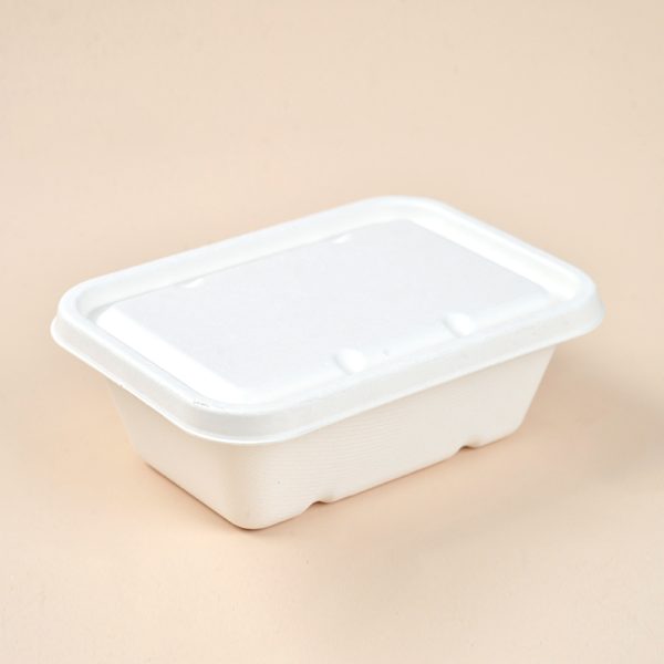 750ml dispostable food container