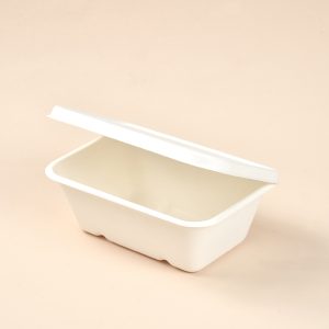 750ml sugarcane food container with lid