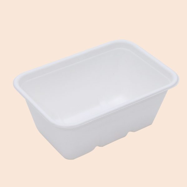 1000ml sugarcane bagasse food box