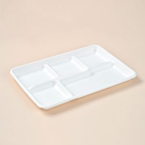 large shallow food tray