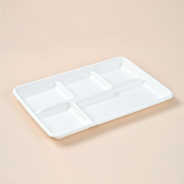 large shallow tray bagasse lunch tray