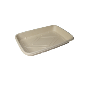 bagasse food tray