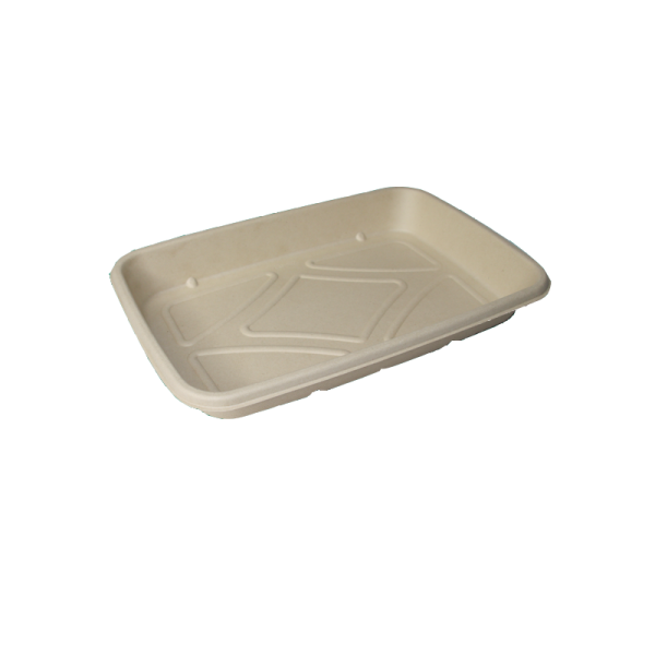 bagasse food tray